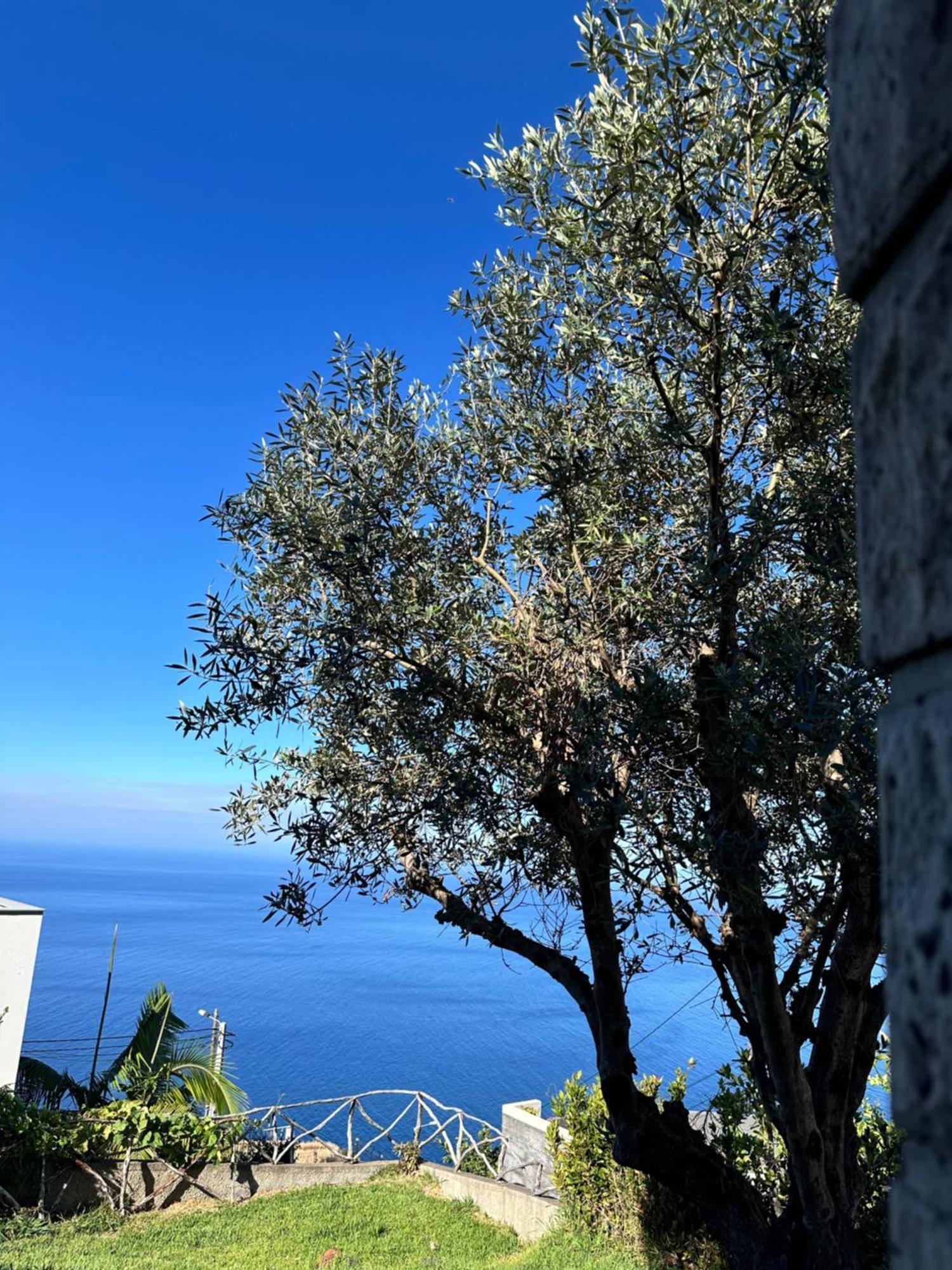Cozy Sea View House Faja Da Ovelha Villa Calheta  Luaran gambar